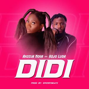 Didi (feat. Kojo Luda)