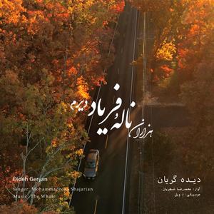 Dideh Geryan (Rework of M.R Shajarian)