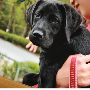 Go Back To Your Heart