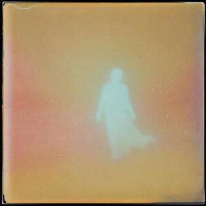 The People From The Fever Dreams