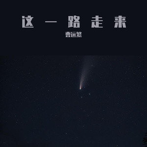 这一路走来（Live）