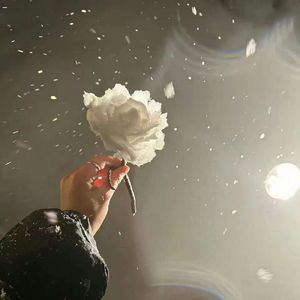 人生走一遭(烟嗓版)