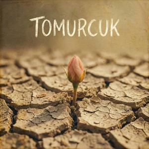 Tomurcuk
