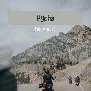 What You See Is——