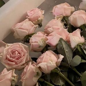 落空（女声版）