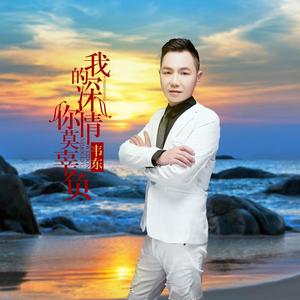 我的深情你莫辜负(DJ版）