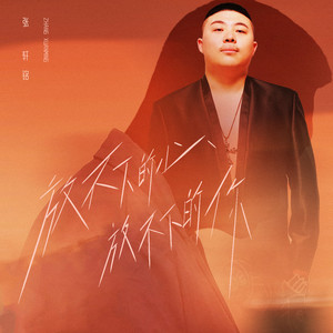 放不下的心放不下的你