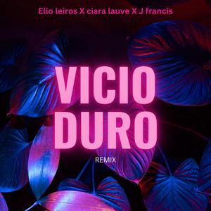 Vicio duro 2.0 (feat. Ciara lauve & J francis)