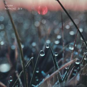 Morning Dew