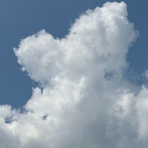 从线上到你的心