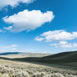 Sinden’s voice, a sacred ring