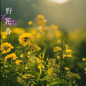 野花香