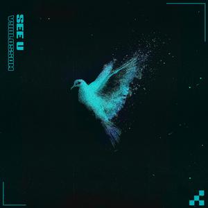 The Flow (feat. They Invade)