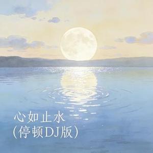 心如止水（停顿DJ版）