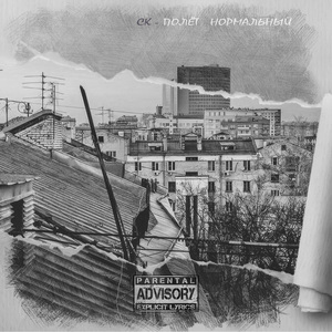 Полёт нормальный