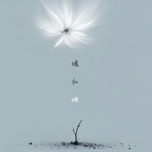 他和她