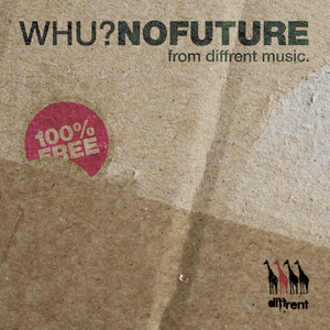 No Future (Original Mix)