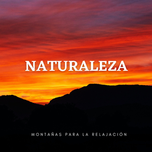 Soledad En La Montaña