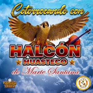 La Petenera (feat. Halcón Huasteco de Marte Santana) (En vivo)