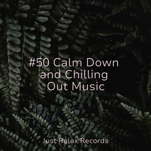 Murmurs in Sun Kissed Fields