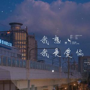 我想我是爱你
