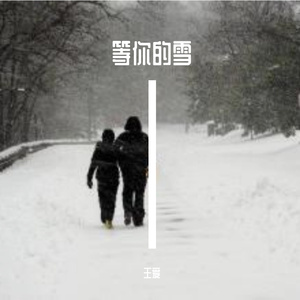 下一场雪，我依然会期待等待