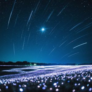 迟到的星光