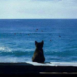 走了心的爱（伴奏）