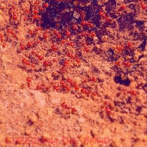 ANTS A.N.T.S. A.N.T.S. A.N.T.S. (feat. Diiirty Anthony & Facetious Blxck)