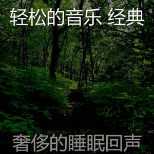 抚慰的周末回忆