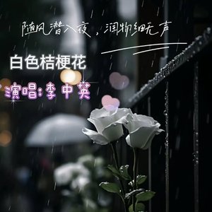 白色桔梗花