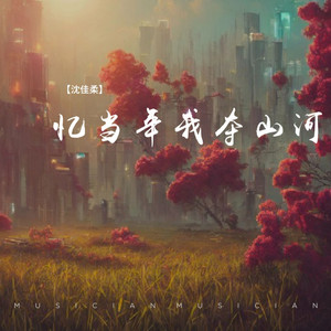 忆当年我夺山河