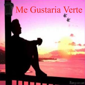 Me Gustaría Verte