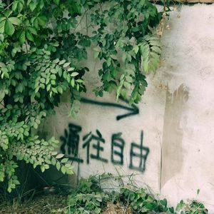 一个普通人的普通想法