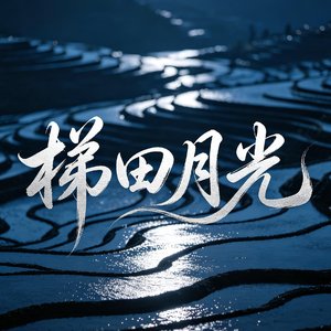 《梯田月光》