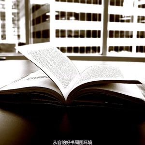 抚慰的长篇小说回忆