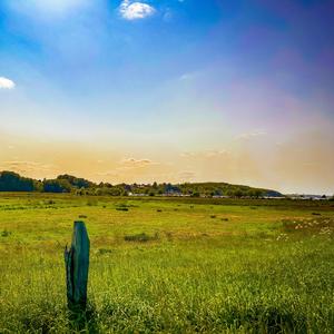 Annalina (feat. Roger Tallroth)