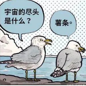 飞鸟，码头，薯条（prod by Lisure）