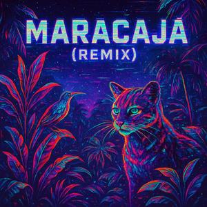 MARACAJA (REMIX FUNK) (feat. Maya Tropika)