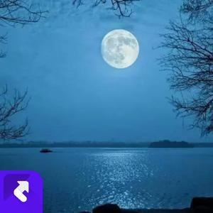 月光倾城 (Remix)