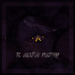 В моём плену