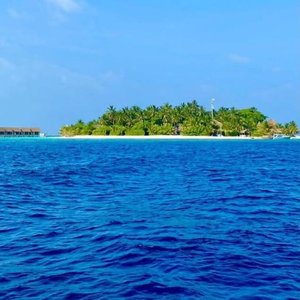 也很值得 （翻自 小月）