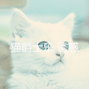 安静的小猫声音