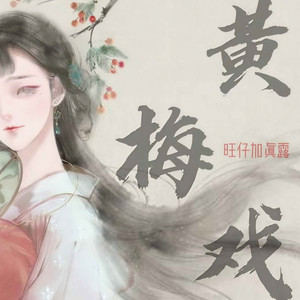 黄梅戏 (吉他版)