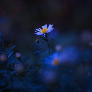 【FEER BEAT】气势汹汹的旋律配上帅气鼓点 Wheezy Type Beat " Flood"