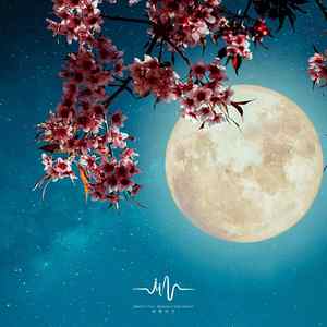 云中书 (冥想打坐瑜伽)