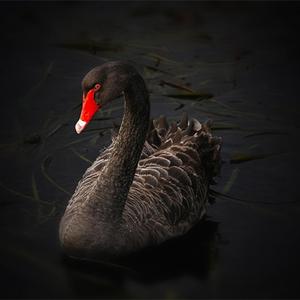 冰冷重金属 摇滚冬季 BGM背景音乐