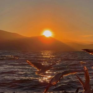 在天亮以前（prod by FRESH_ye)