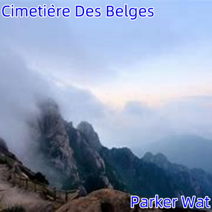Cimetière Des Belges