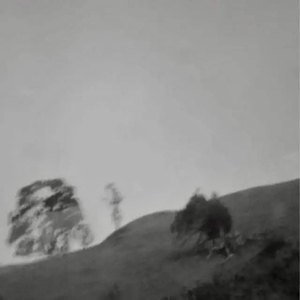 "意义是三小,我只知道义气"